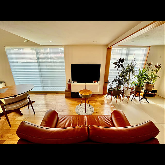tamabaka1971さんの部屋