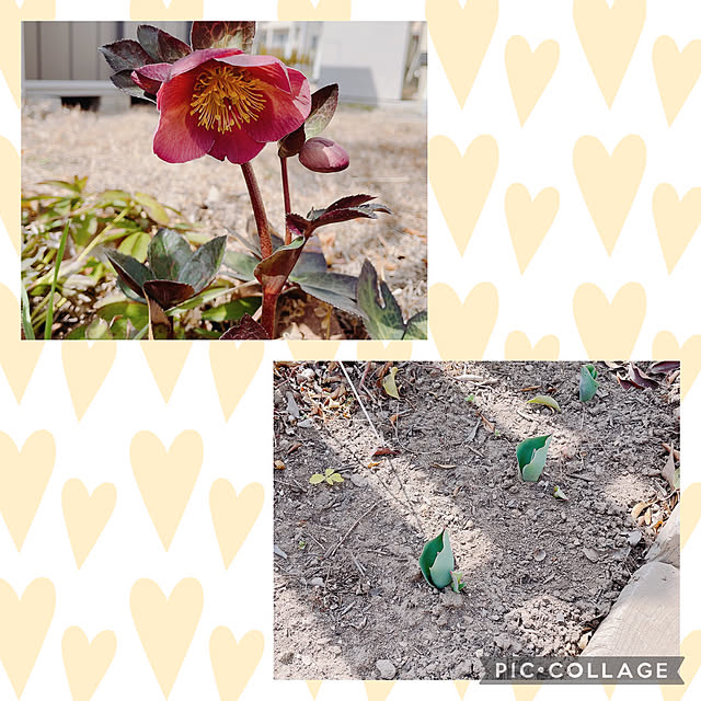 nana.18さんの実例写真