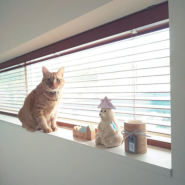 marutujiさんの実例写真
