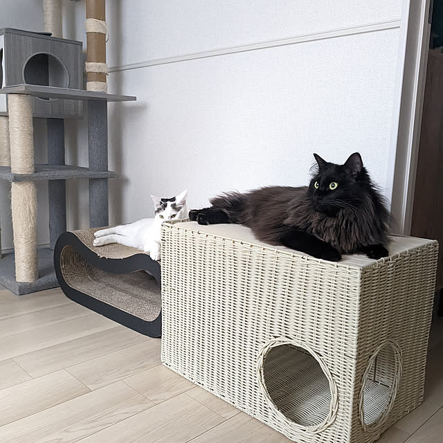 kumiさんの実例写真