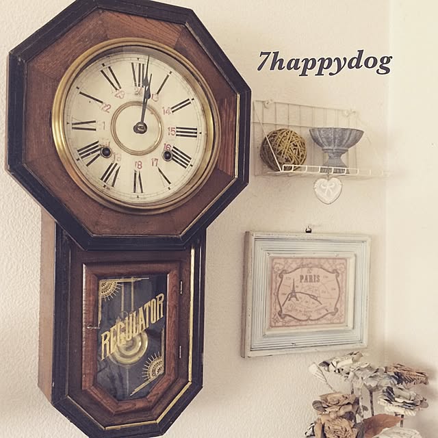 7happydogさんの実例写真