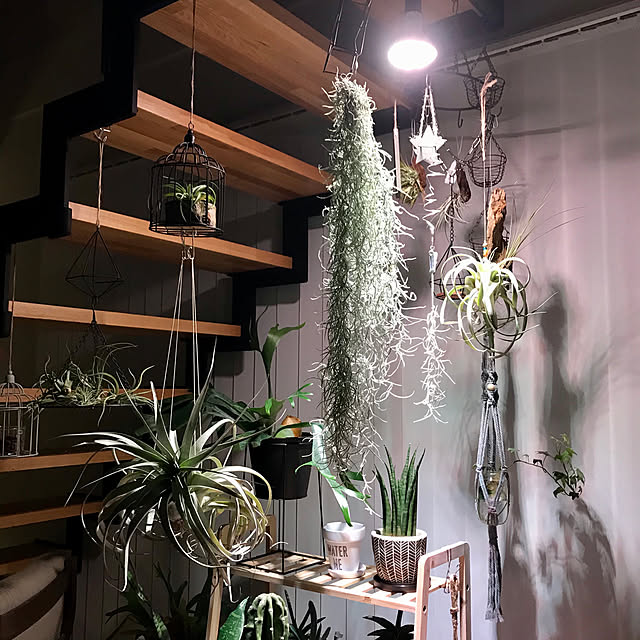 hm_myhomeさんの実例写真