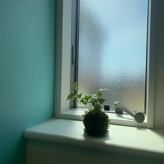 neconeko1202さんの実例写真