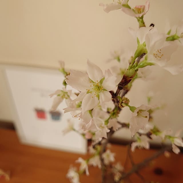 dreamboxさんの部屋