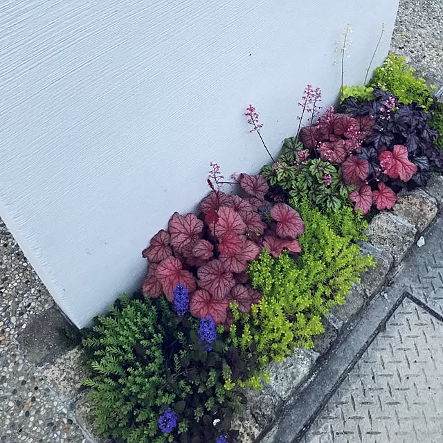yuさんの実例写真