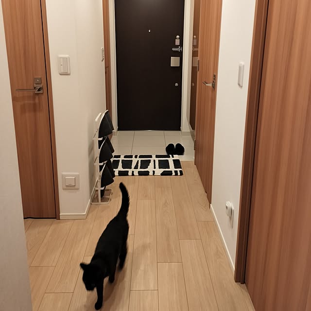 sakuraさんの部屋