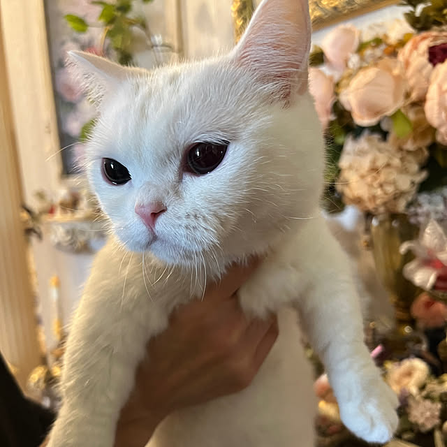 AYUKOさんの部屋