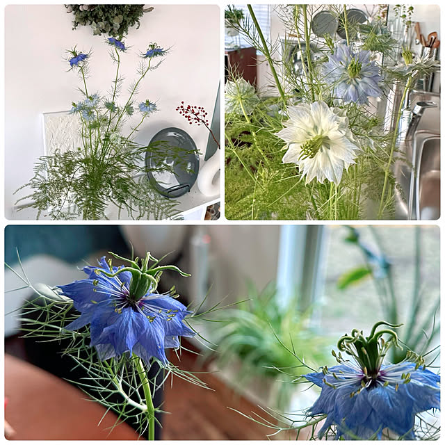 hanahana1444さんの部屋