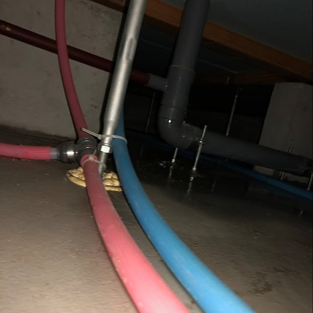 napiさんの部屋