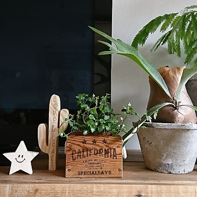 cafe-plageさんの実例写真