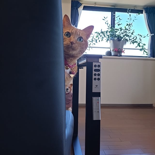 NOAHさんの部屋