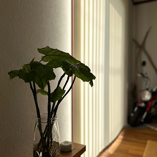 nana77さんの部屋