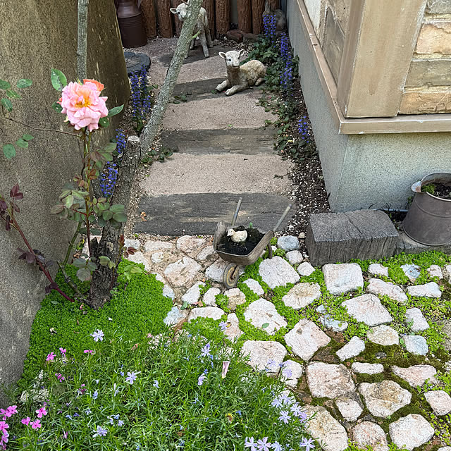 tabasaさんの部屋