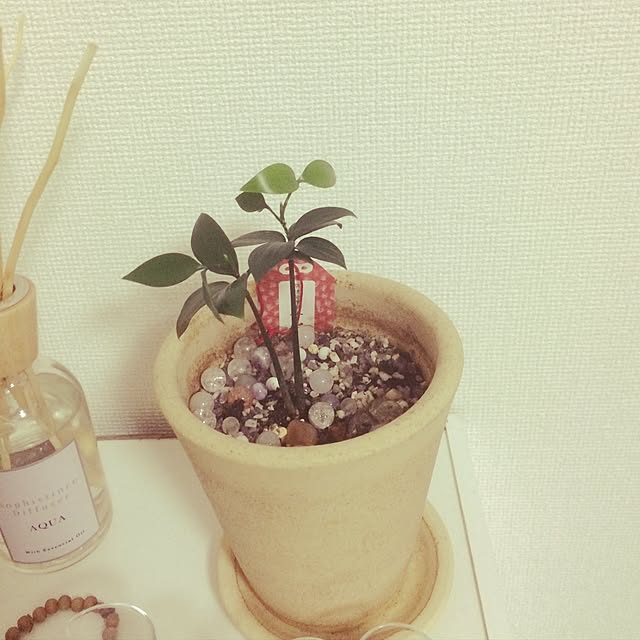 MIRAINOさんの実例写真