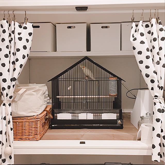 棚/オカメインコ/犬のいる暮らし/イケア/IKEA...などのインテリア実例 - 2019-02-18 22:25:09