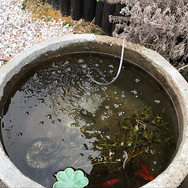 okadajapanさんの実例写真