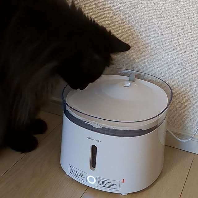kumiさんの部屋