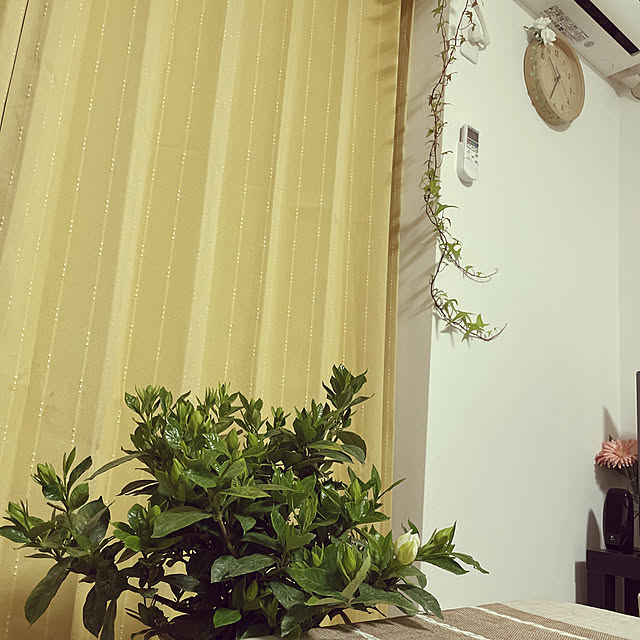 Chitさんの実例写真