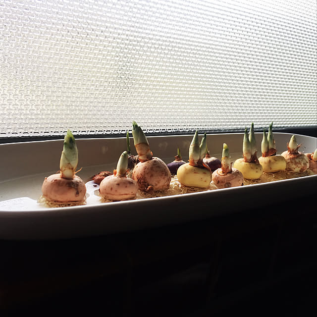 korochiruさんの実例写真