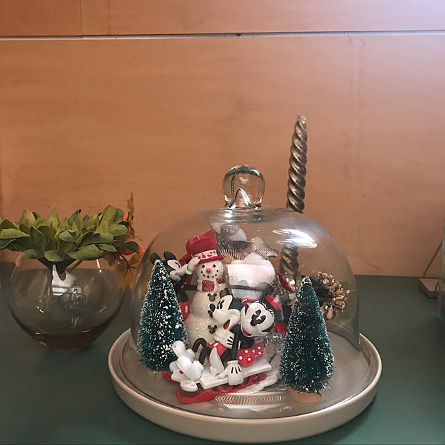 棚/クリスマスディスプレイ/ディズニー/ナチュラルキッチンのインテリア実例 - 2018-12-01 08:40:55