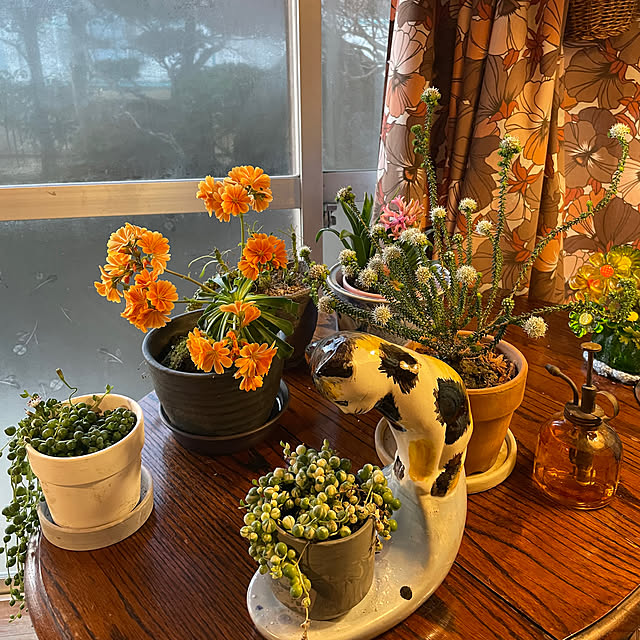 shin0719さんの部屋