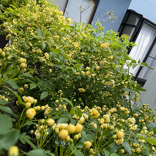 natsumiさんの部屋