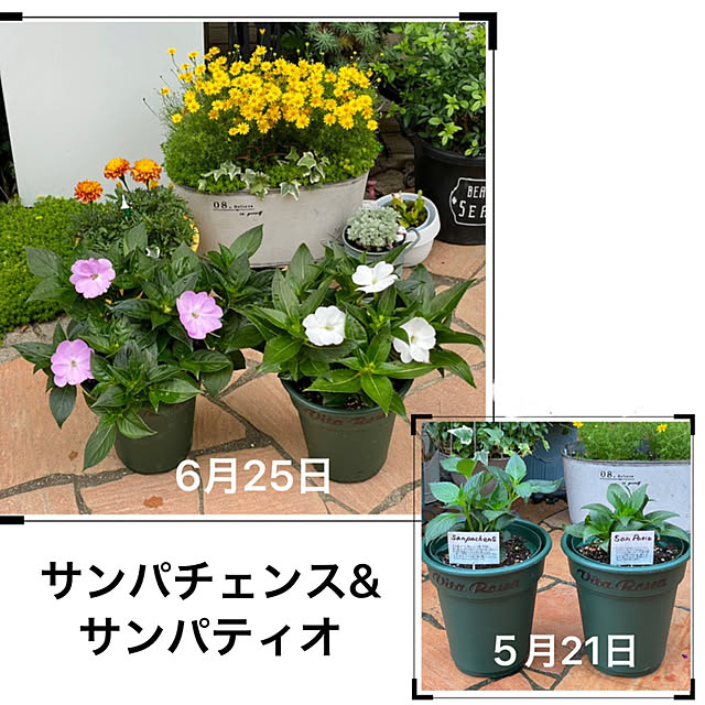 kurumeruさんの実例写真