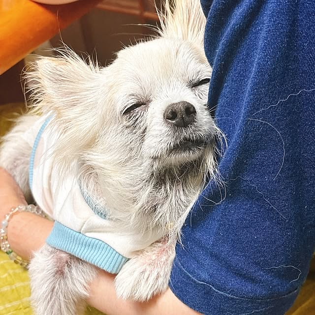 minnieさんの部屋