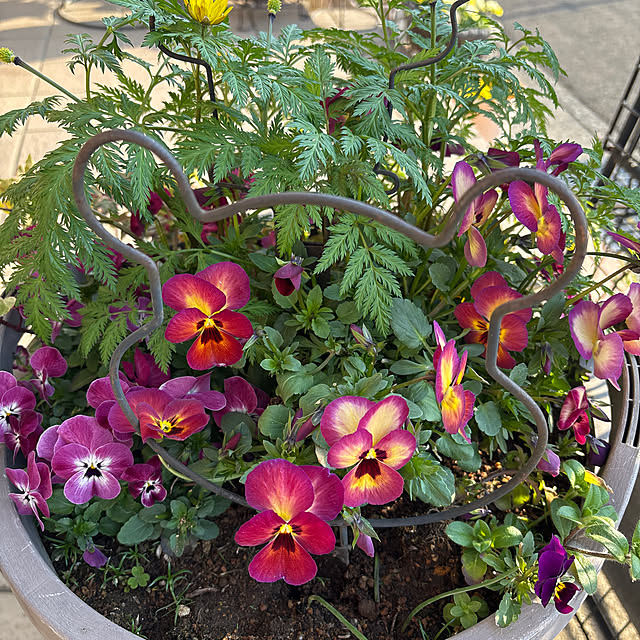 vanity.39さんの実例写真