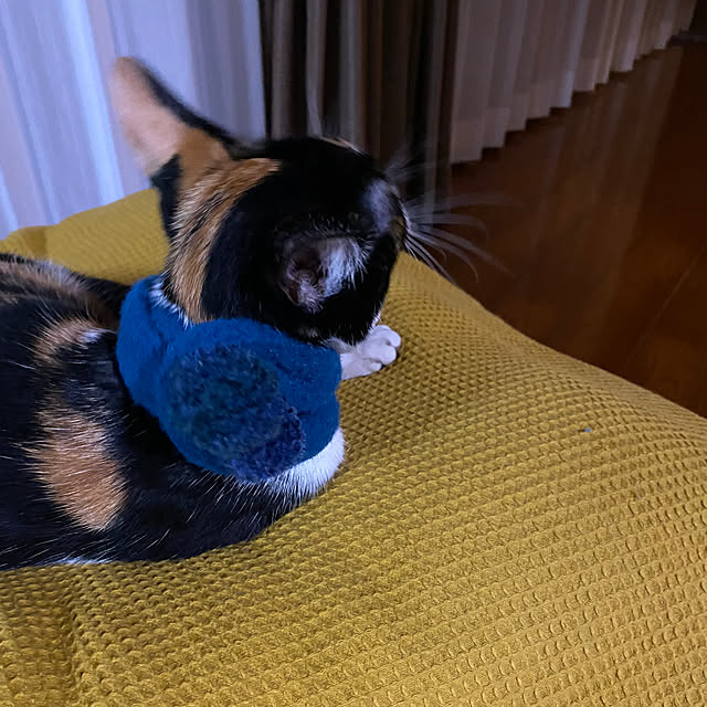 実例写真