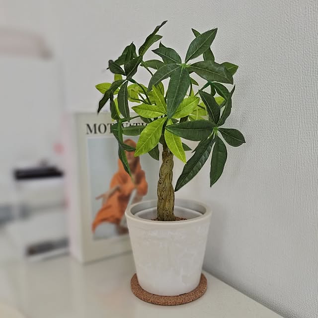 sakuraさんの実例写真