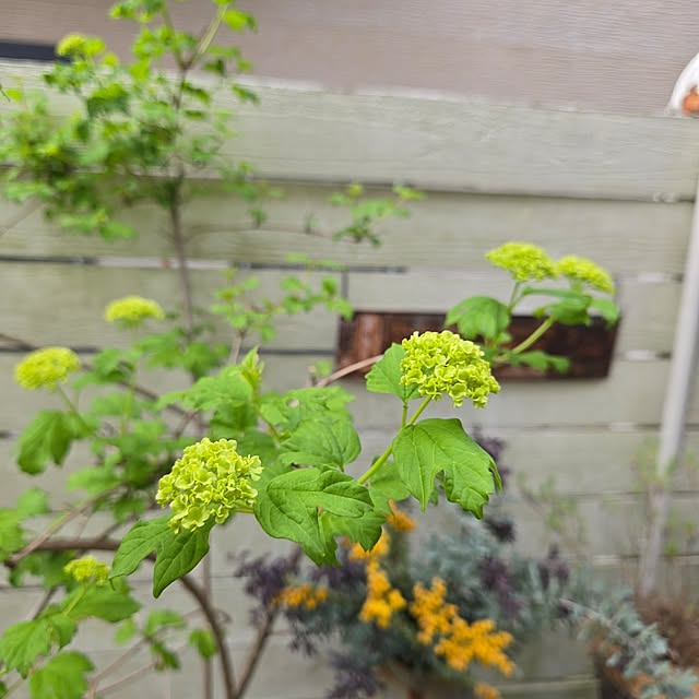 min_nimさんの部屋