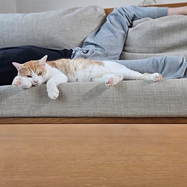 koyurizuさんの部屋