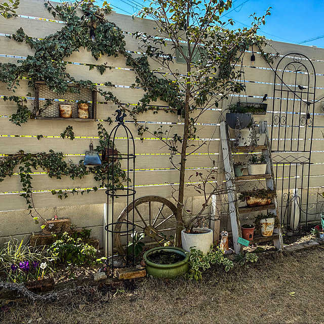 PEKO3_3さんの実例写真