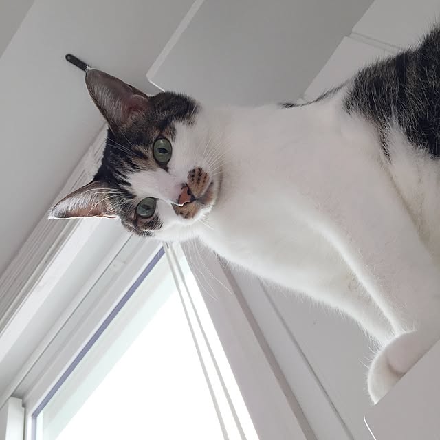 yuchiさんの実例写真