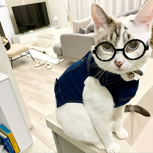 NAO0314さんの実例写真