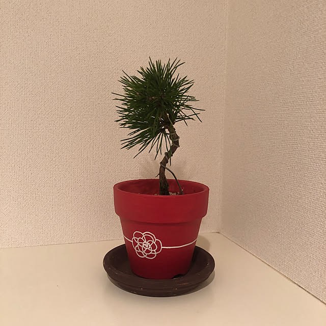 nykeraskさんの実例写真