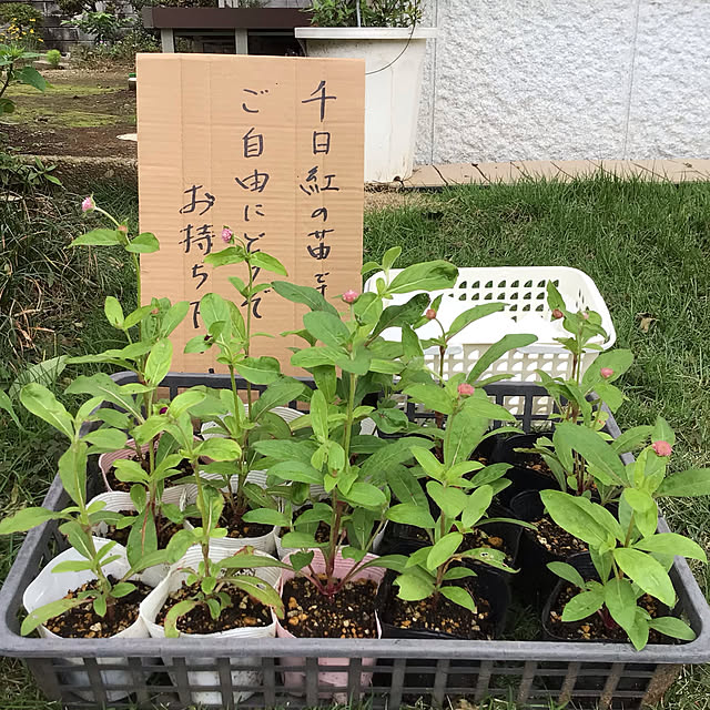 houenさんの実例写真
