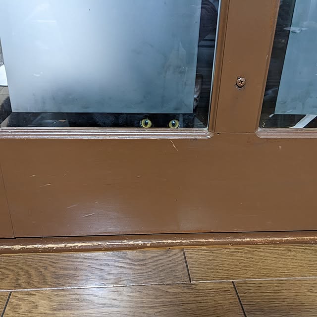 asaさんの実例写真