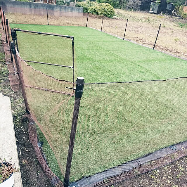 emiさんの実例写真