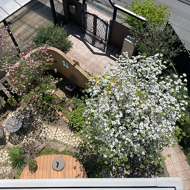 kuikoさんの実例写真
