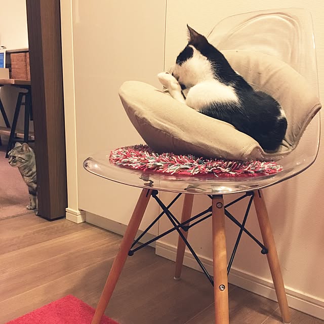 mikomaruさんの実例写真