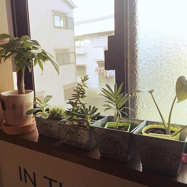 m.k___homeさんの実例写真