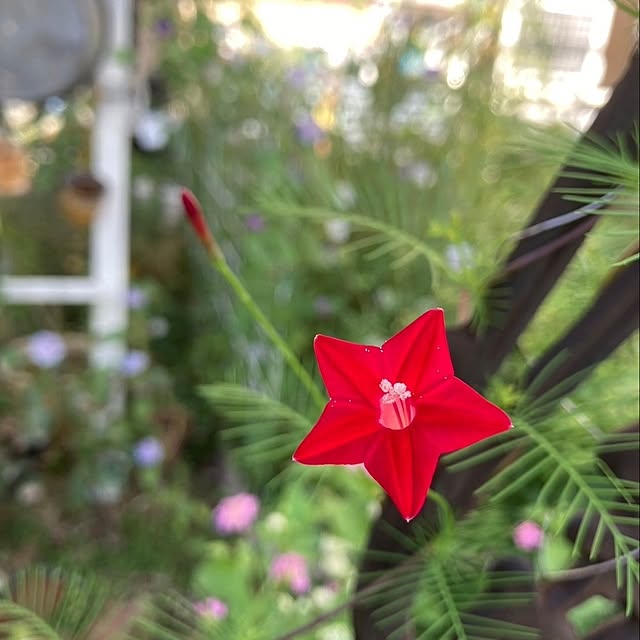 min_nimさんの部屋
