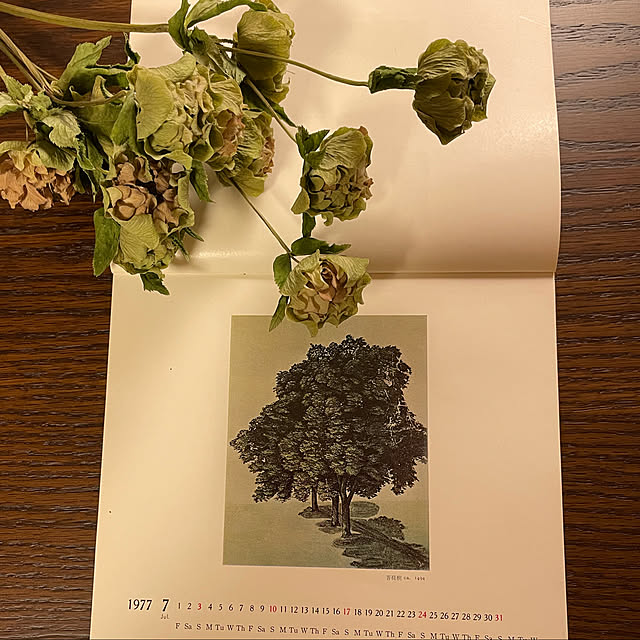 mamizaさんの実例写真