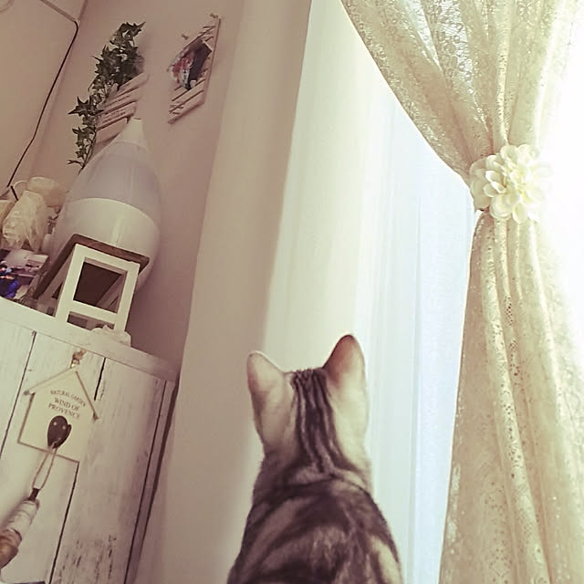 Harさんの実例写真