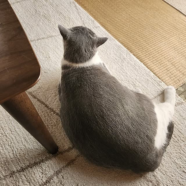 rhuさんの実例写真