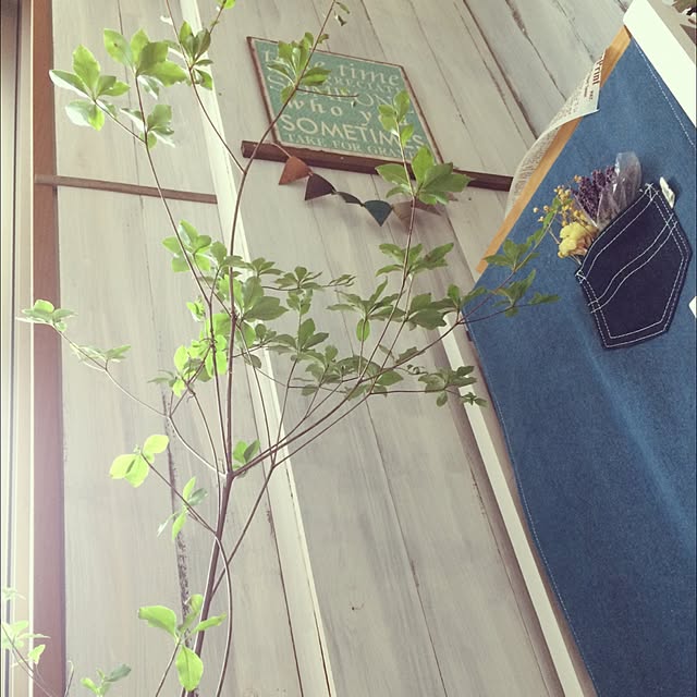 bikkeさんの実例写真