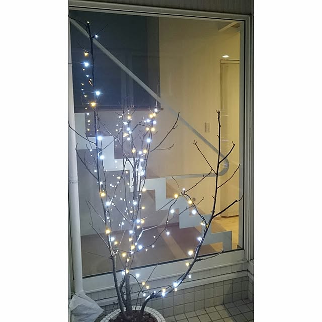 ms.さんの実例写真