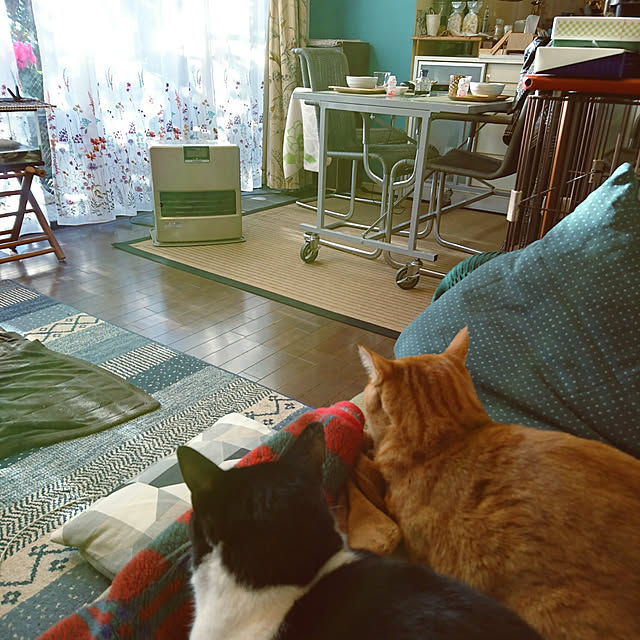 okyosan101さんの実例写真